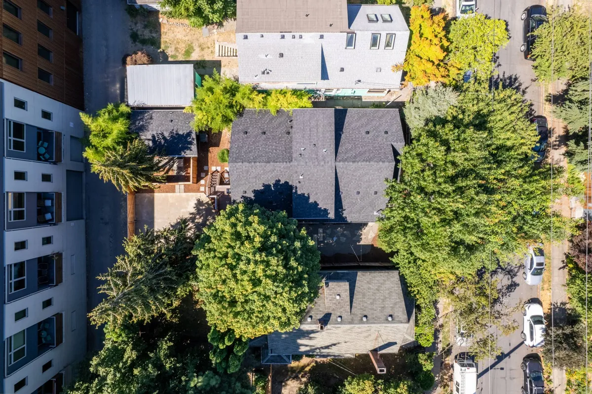 An inviting view over rooftops framed by leafy trees and a driveway, suggesting a friendly, walkable neighborhood. The scene evokes the feeling of being part of an urban community while still enjoying green surroundings.